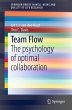 Team Flow - Bild 1
