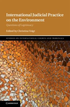 International Judicial Practice on the Environment (eBook, PDF)