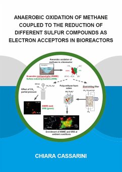 Cover Anaerobic Oxidation of Methane Coupled to the Reduction of Different Sulfur Compounds as Electron Acceptors in Bioreactors (eBook, ePUB)