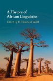 History of African Linguistics (eBook, ePUB)