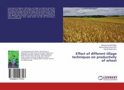 Effect of Different Tillage Techniques on Productivity of Wheat