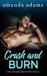 Crash and Burn - Bild 1