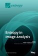 Entropy in Image Analysis - Bild 1