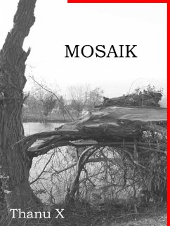 Mosaik (eBook, ePUB)