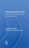 Prosperity Amidst Crisis (eBook, PDF)