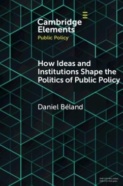 Cover How Ideas and Institutions Shape the Politics of Public Policy (eBook, PDF)