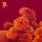 I Spent The Winter Writing