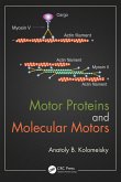 Motor Proteins and Molecular Motors (eBook, PDF)