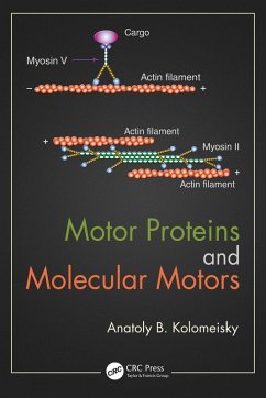 Motor Proteins and Molecular Motors (eBook, PDF) - Kolomeisky, Anatoly B.