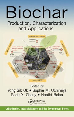 Cover Biochar (eBook, PDF)