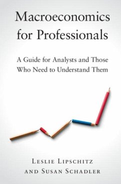 Cover Macroeconomics for Professionals (eBook, PDF)