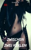 Zwischen zwei Kerlen (eBook, ePUB)