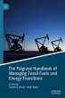 The Palgrave Handbook of Managing... - Bild 1