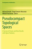 Pseudocompact Topological Spaces