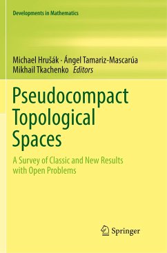 Pseudocompact Topological Spaces