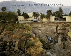 American Prospects - Sternfeld, Joel