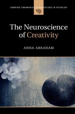 Cover Neuroscience of Creativity (eBook, PDF)