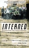 Interned (eBook, ePUB)