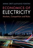 Economics of Electricity (eBook, ePUB)