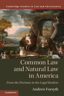 Cover Common Law and Natural Law in America (eBook, PDF)