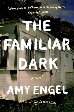 The Familiar Dark (eBook, ePUB) - Engel, Amy