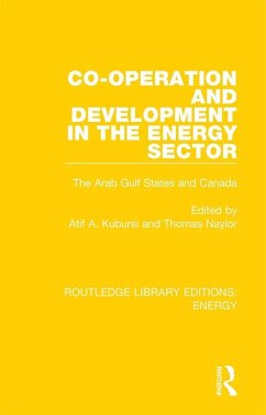 Cover Co-operation and Development in the Energy Sector (eBook, ePUB)