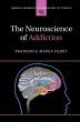 Neuroscience of Addiction (eBook, ePUB) - Bild 1