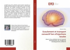 Ecoulement et transport convectif lors d'injections locales Cover Ecoulement et transport convectif lors d'injections locales