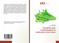 Variabilité agro morphologique et moléculaire chez le pois - Srarfi, Faten;Bouhadida, Mariem