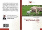 Polymorphisme génétique des protéines du lait de brebis