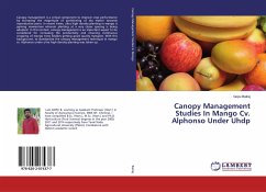 Canopy Management Studies In Mango Cv. Alphonso Under Uhdp - Balraj, Gopu