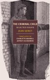 The Criminal Child (eBook, ePUB)