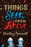 Things Seen from Above (eBook, ePUB)