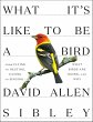 What It's Like to Be a Bird (eBook,... - Bild 1