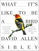 What It's Like to Be a Bird (eBook, ePUB)