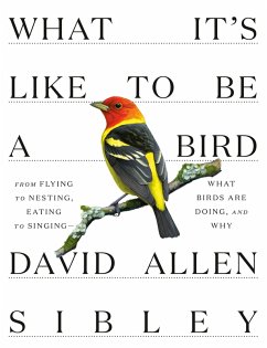 What It's Like to Be a Bird (eBook, ePUB) - Sibley, David Allen