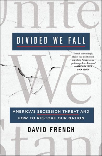 Divided We Fall (eBook, ePUB)