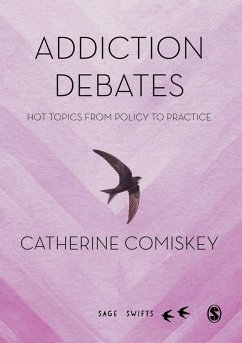 Addiction Debates (eBook, ePUB) - Comiskey, Catherine