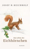 Das Leben der Eichhörnchen (eBook, ePUB)