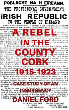 A Rebel in the County Cork, 1915-1923: Case Study of an Insurgency (eBook, ePUB) - Ford, Daniel