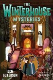 The Winterhouse Mysteries (eBook, ePUB)
