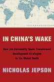 In China's Wake (eBook, ePUB)
