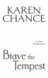 Brave the Tempest (eBook, ePUB) - Bild 1