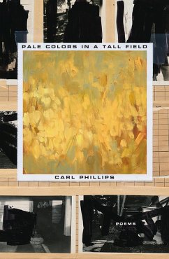 Pale Colors in a Tall Field (eBook, ePUB) - Phillips, Carl