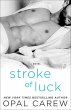 Stroke of Luck (eBook, ePUB) - Bild 1