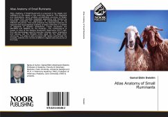 Atlas Anatomy of Small Ruminants - Swielim, Gamal Eldin