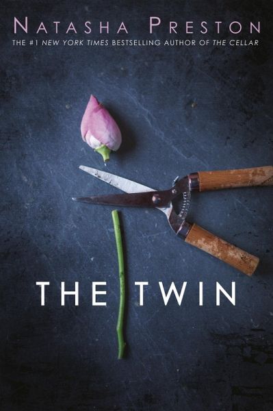 The Twin (eBook, ePUB)