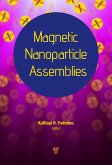 Magnetic Nanoparticle Assemblies (eBook, PDF)