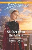Shelter From The Storm (Mills & Boon Love Inspired) (North Country Amish, Book 1) (eBook, ePUB)