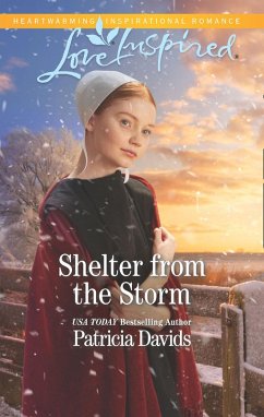 Shelter From The Storm (eBook, ePUB) - Davids, Patricia